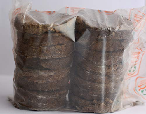 cow dung cake